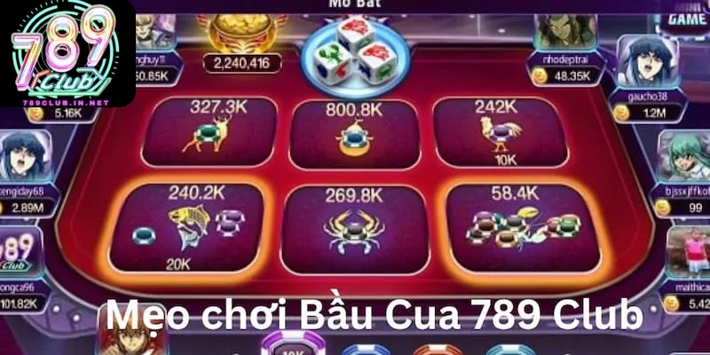 Chiến thuật và mẹo chơi bầu cua big 5 dễ thắng